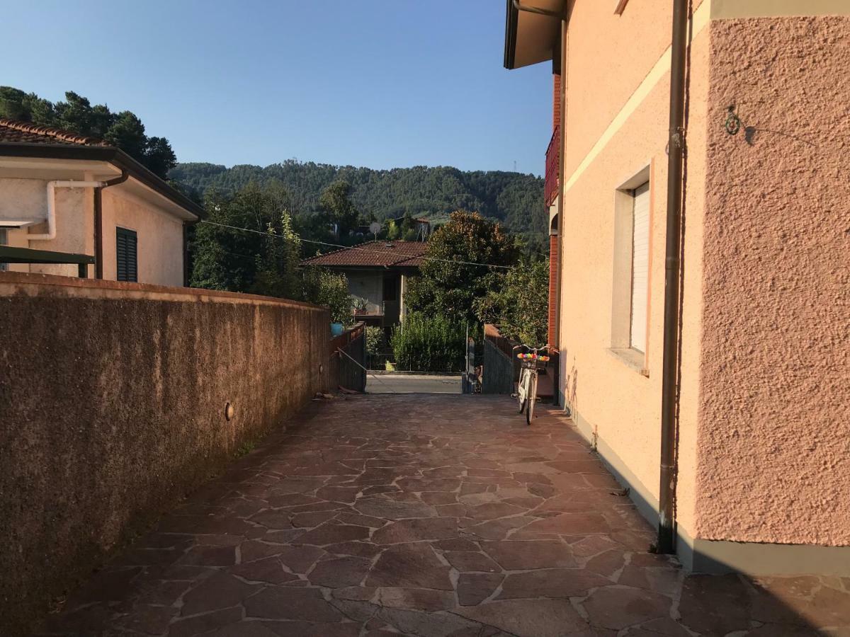 Ester * Camaiore